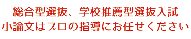 大学入試、資格試験、公務員試験など、小論文はプロの指導にお任せください